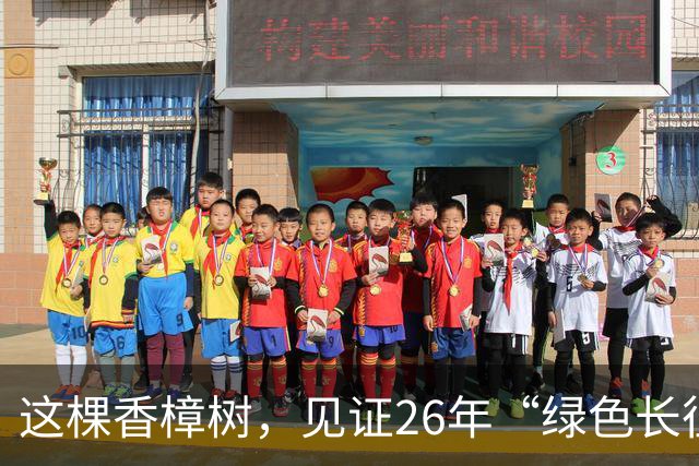 这棵香樟树，见证26年“绿色长征”